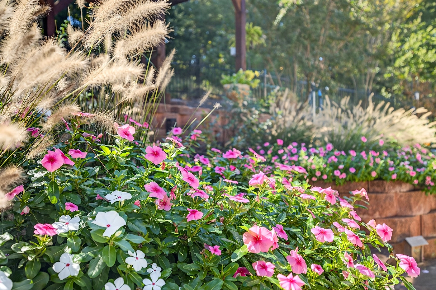 flowers and retaining wall landscape